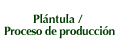 Pl&aacute;ntula / Proceso de producci&oacute;n